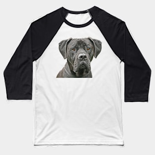 Black Great Dane Baseball T-Shirt